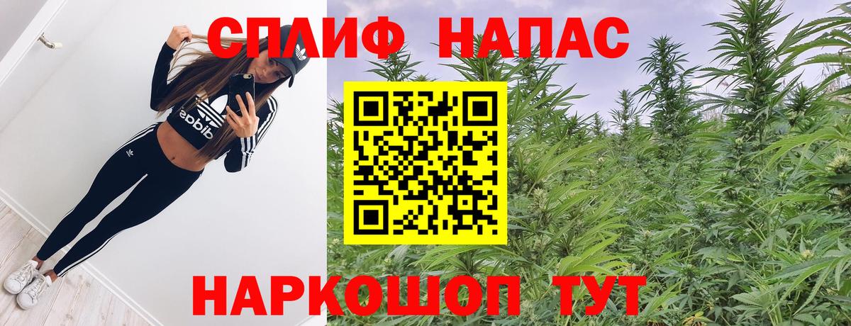 Каннабис White Widow Лесной